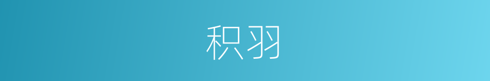 积羽的意思