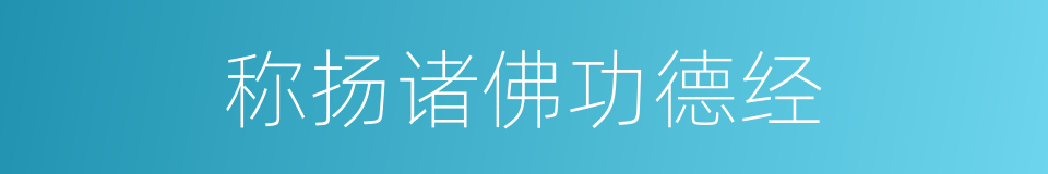 称扬诸佛功德经的同义词