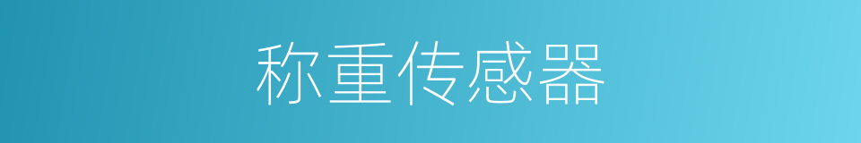 称重传感器的同义词