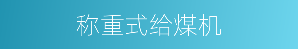 称重式给煤机的同义词