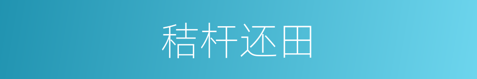 秸杆还田的同义词