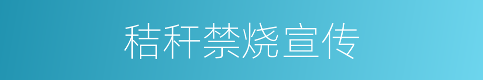 秸秆禁烧宣传的同义词