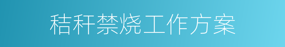 秸秆禁烧工作方案的同义词