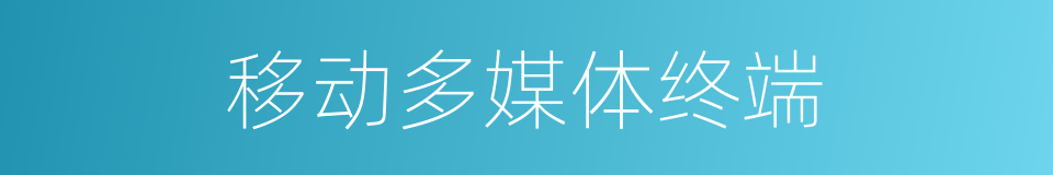 移动多媒体终端的同义词