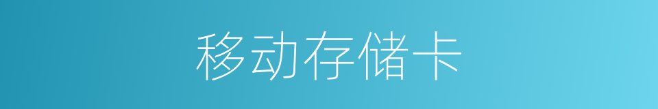 移动存储卡的同义词