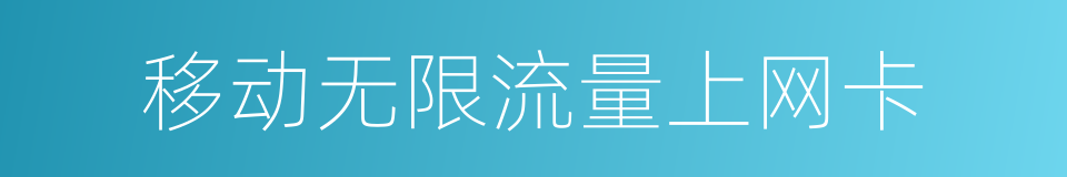 移动无限流量上网卡的同义词