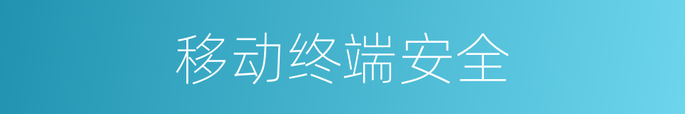 移动终端安全的同义词