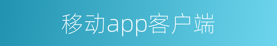 移动app客户端的同义词