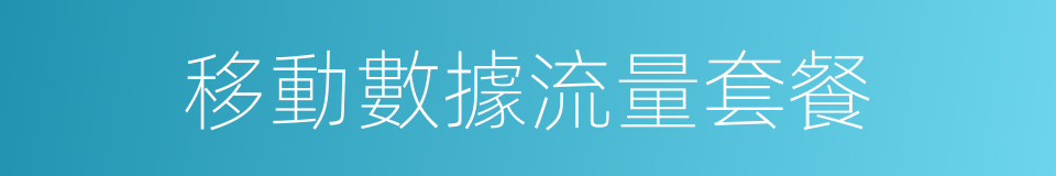 移動數據流量套餐的同義詞