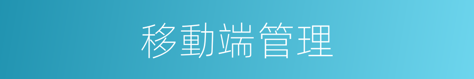 移動端管理的同義詞