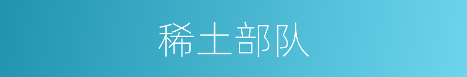 稀土部队的同义词