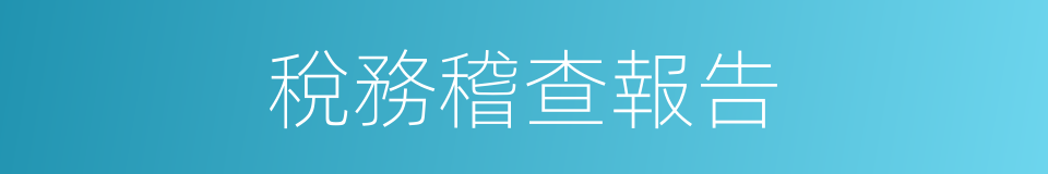 稅務稽查報告的同義詞