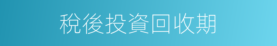 稅後投資回收期的同義詞
