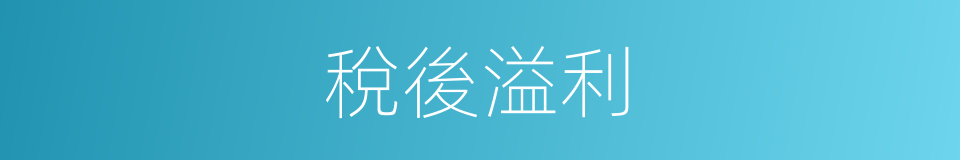 稅後溢利的同義詞