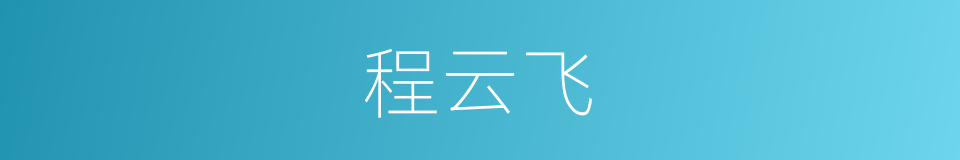 程云飞的同义词