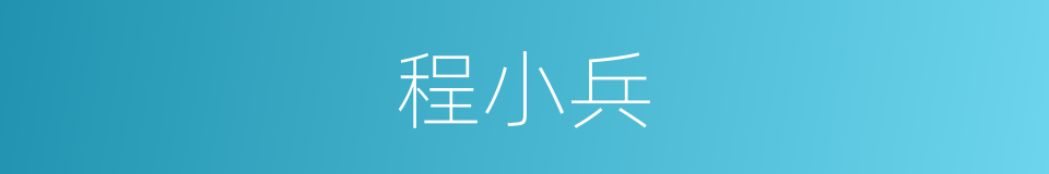 程小兵的同义词