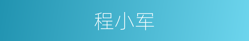 程小军的同义词