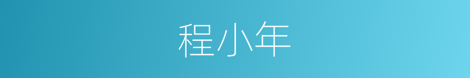 程小年的同义词