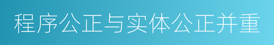 程序公正与实体公正并重的同义词