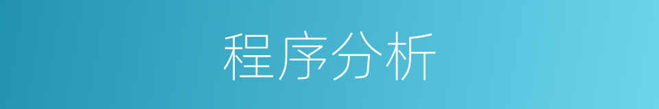 程序分析的意思