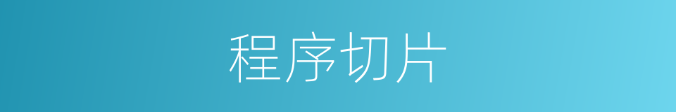 程序切片的同义词