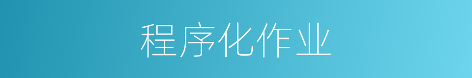 程序化作业的同义词
