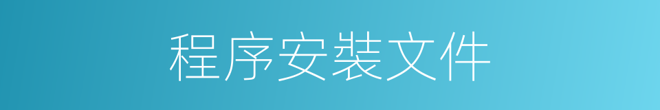 程序安裝文件的同義詞