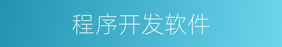 程序开发软件的同义词