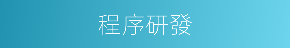 程序研發的同義詞