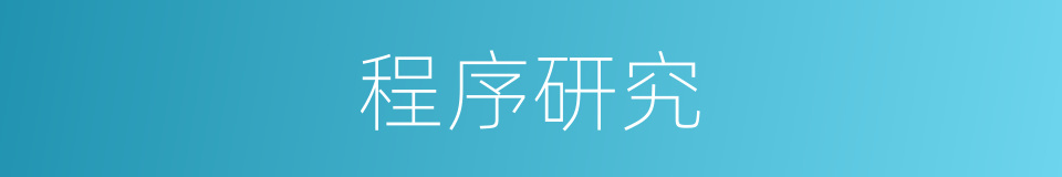 程序研究的同义词