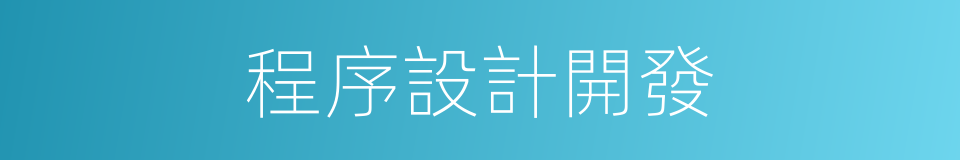 程序設計開發的同義詞