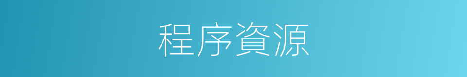 程序資源的同義詞