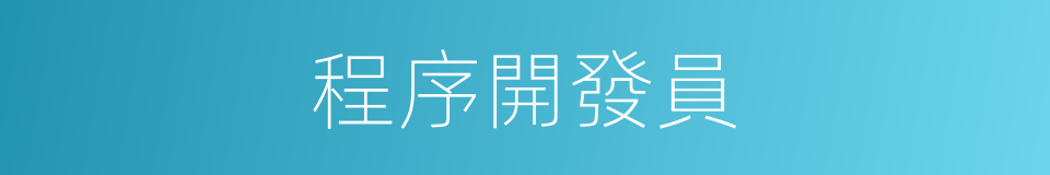 程序開發員的同義詞
