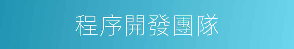 程序開發團隊的同義詞