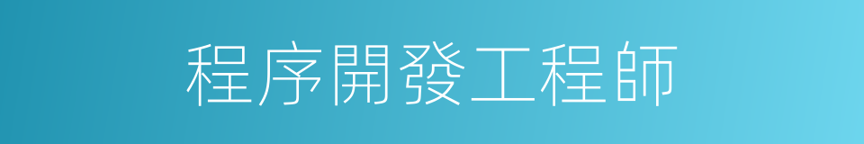 程序開發工程師的同義詞