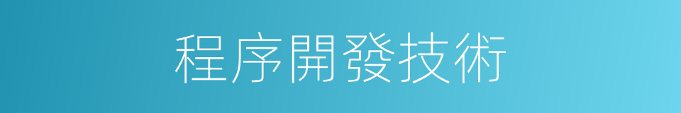 程序開發技術的同義詞
