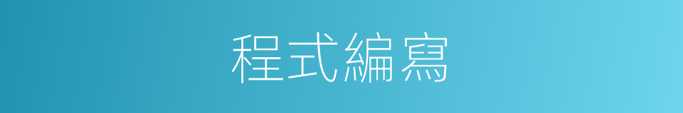程式編寫的同義詞