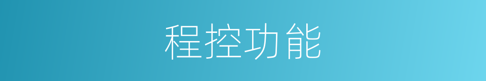程控功能的同义词