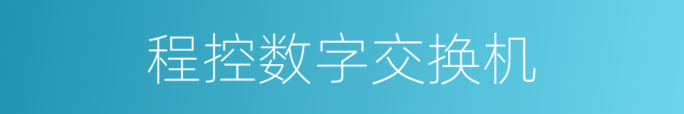 程控数字交换机的同义词