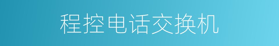 程控电话交换机的同义词