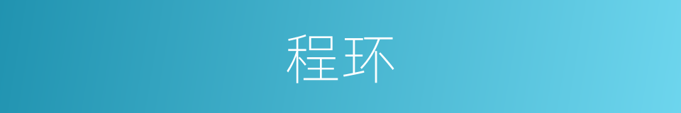 程环的同义词