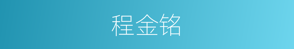 程金铭的同义词