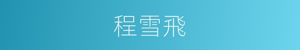程雪飛的同義詞