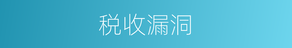 税收漏洞的同义词