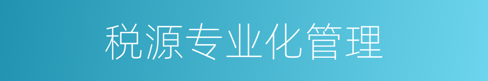 税源专业化管理的同义词