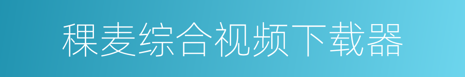 稞麦综合视频下载器的同义词
