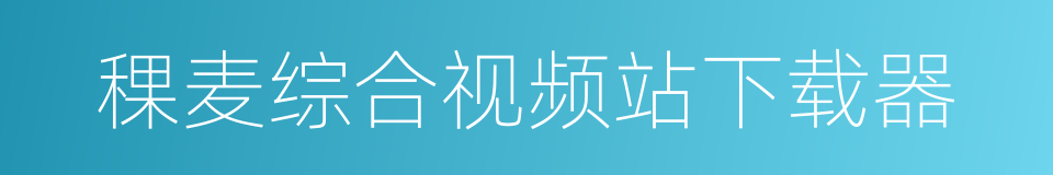 稞麦综合视频站下载器的同义词