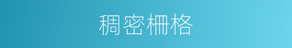 稠密柵格的同義詞