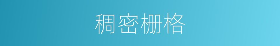 稠密栅格的同义词