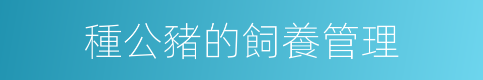 種公豬的飼養管理的同義詞
